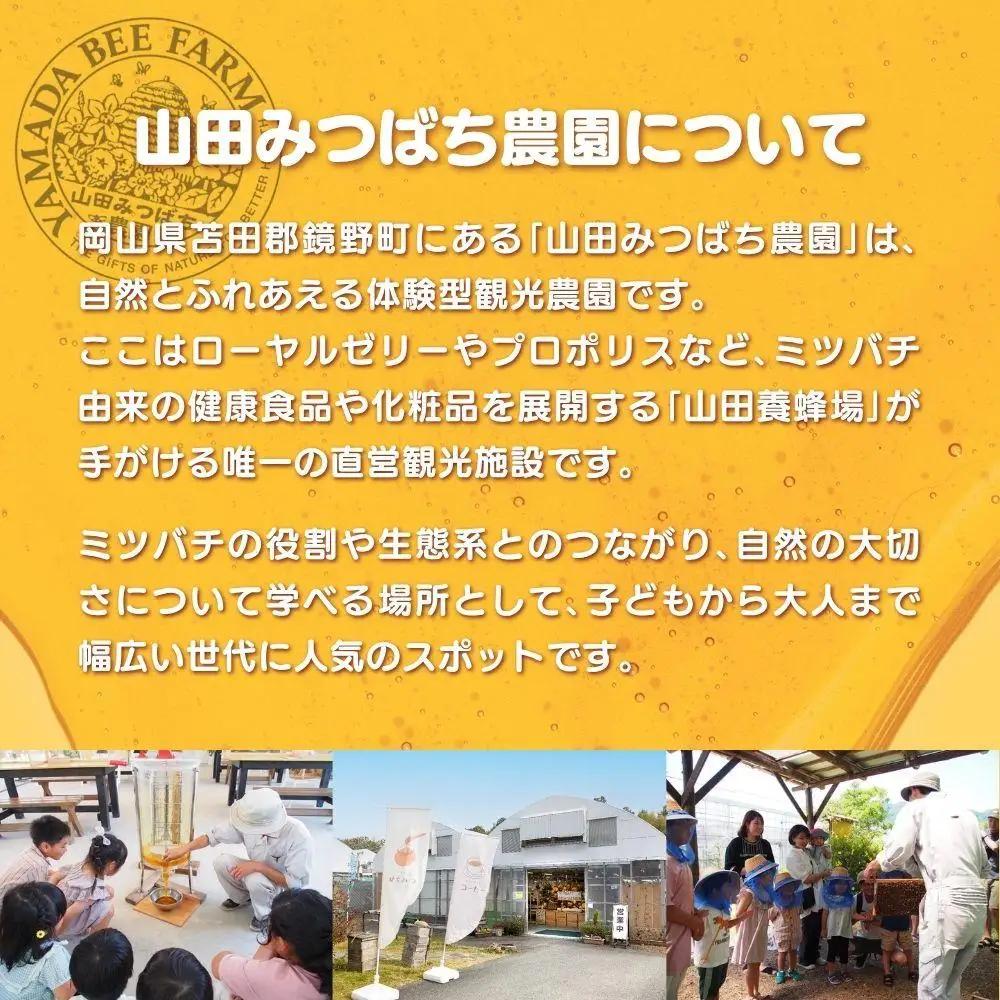 ［山田みつばち農園］体験割引チケット（2000円分）049-a001