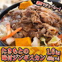 【ふるさと納税】たきもとの味付ジンギスカン1.6kg　【羊肉 お肉 焼肉 バーベキュー ふるさと納税 ジンギスカン】