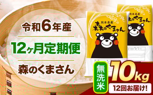 【12ヶ月定期便】令和6年産 無洗米  森のくまさん 10kg 5kg×2袋  《お申込み月の翌月から出荷開始》 熊本県産 無洗米 精米 米 こめ コメ お米 kome