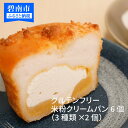 【ふるさと納税】グルテンフリー 米粉 クリームパン 6個（ 3種類 × 2個 ） 食べ比べ 送料無料