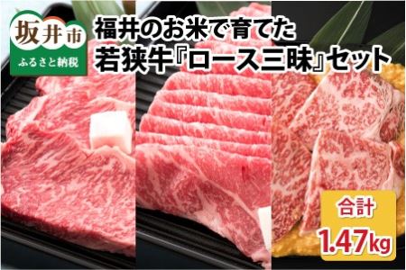 福井のお米で育てた若狭牛 『ロース三昧』～ステーキ、すき焼き、みそ漬け 3点セット～ 【サーロイン ステーキ肉 味噌漬け 若狭牛 国産和牛 黒毛和牛 黒毛和種 ブランド牛 和牛 肉 牛 牛肉 坂井市 福井県産 国産 冷凍】 [J-2001]