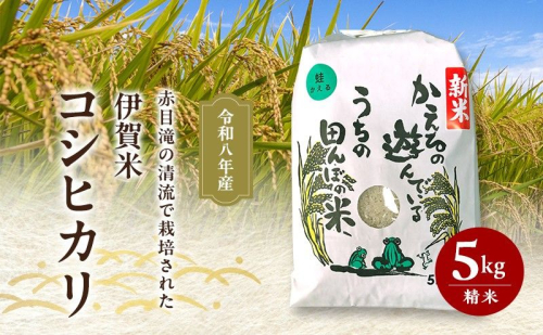 米 赤目滝の清流で栽培された 令和8年産 伊賀米コシヒカリ 5kg  三重県 名張市 赤目滝 清流 特A 白米 精米 産直 農家 ご飯 ごはん こしひかり 農家直送 産地直送 国産米