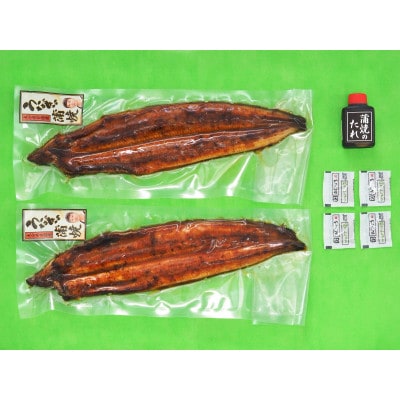 ひじまちのうなぎ　蒲焼140g×2尾(汽水養殖)(日出町)【配送不可地域：離島】【2002777】