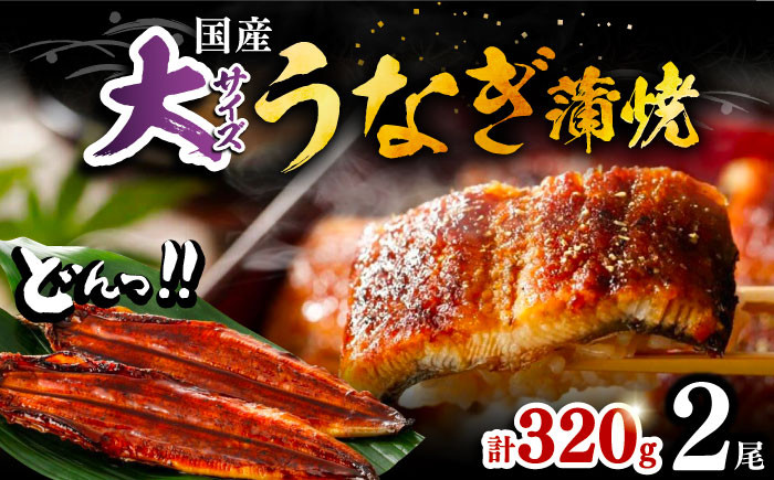 
福岡県産 うなぎ 蒲焼 大2尾 合計 320 g（1尾あたり 160g以上）《豊前市》【福岡養鰻】 国産 鰻 蒲焼き [VAD002]
