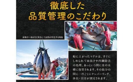 【5月発送】本マグロ（養殖）トロ＆赤身セット 500g まぐろ 刺身 鮪 本鮪 クロマグロ 赤身 中とろ 【nks110_cp-5】