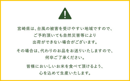 ＜令和5年産「宮崎県産ヒノヒカリ(無洗米)」10kg 3か月定期便＞ ※お申込みの翌月中旬に第1回目を発送（8月は下旬）【c588_ku_x6】  米 ヒノヒカリ 定期便 コメ 無洗米