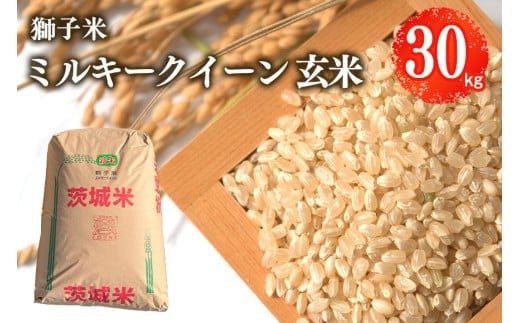 【令和7年産】獅子米 ミルキークイーン 玄米 30kg （精米可）お米 米 おこめ ブランド米 ミルキー 30キロ 国産 単一原料米 コメ こめ ご飯 銘柄米 茨城県産 茨城 産直 産地直送 農家直送 ごはん 家庭用 贈答用 お取り寄せ ギフト 茨城県 石岡市 (B02-008)