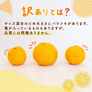 【早期予約 2025年2月上旬より順次発送】 訳あり ぽんかん  5kg サイズ混合 有機 オーガニック 無農薬 防腐剤 不使用 須崎市 高知県 ( ポンカン 柑橘 みかん 有機ポンカン オーガニック