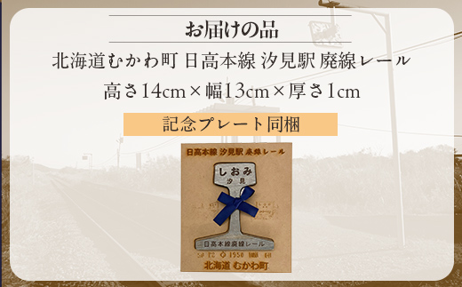 第2弾 日高本線廃線レール 厚さ1cm（限定品） MKWG030