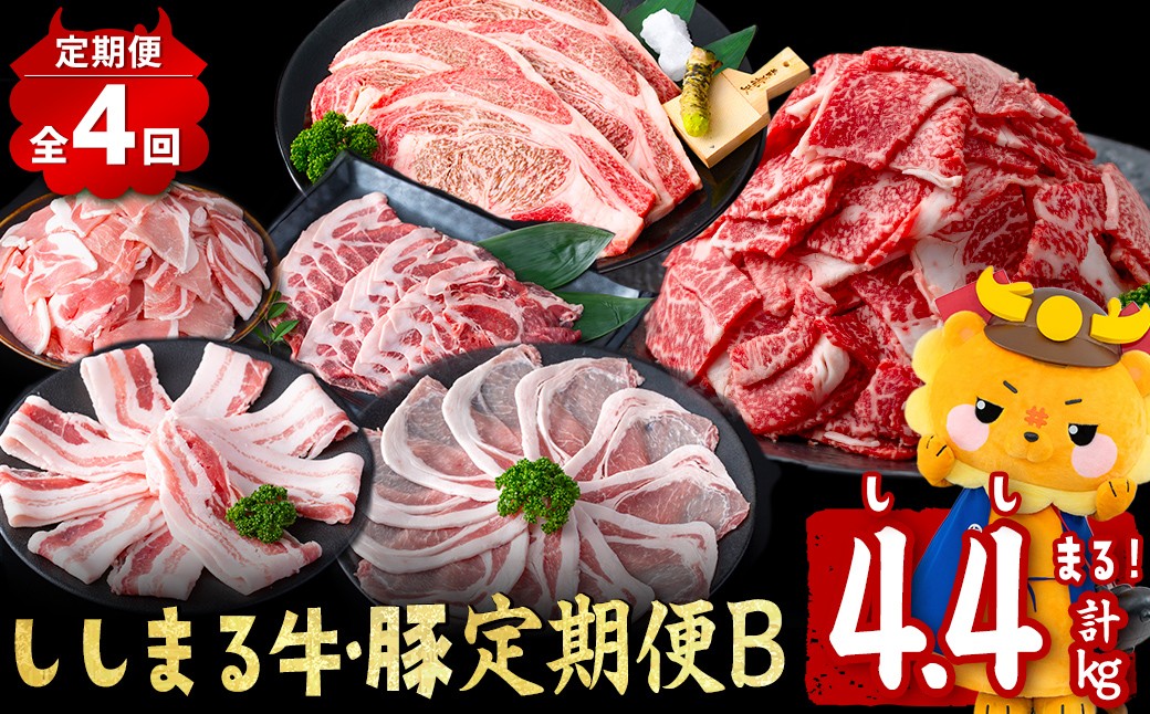 
                  【定期便全4回】ししまる牛・豚定期便B(4ヶ月連続・計4.4kg) 黒毛和牛 国産牛 九州産 豚 豚肉 肉 牛肉 国産 小分け 真空包装 冷凍 t00543-001
                
