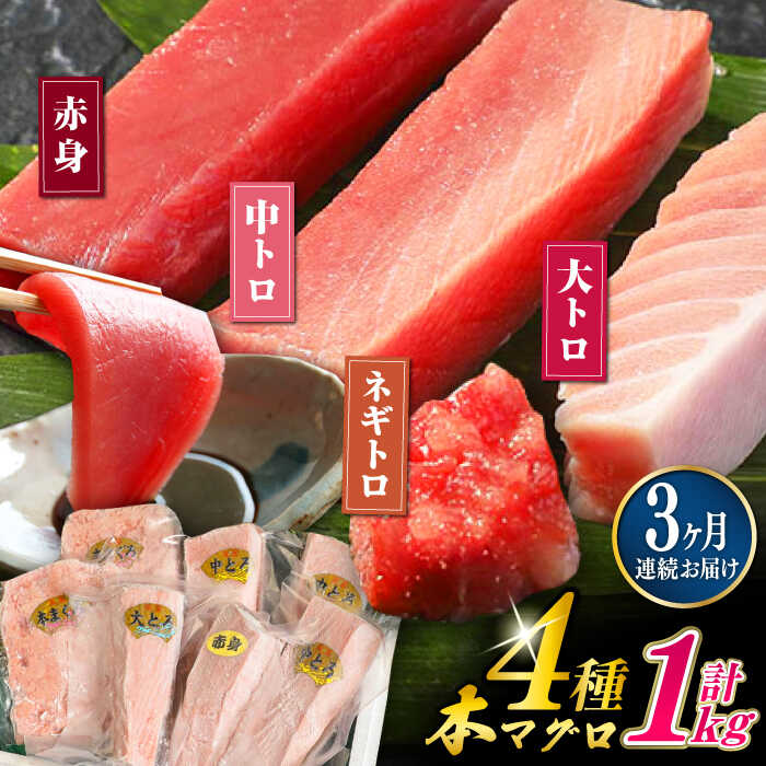 【ふるさと納税】【全3回定期便】対馬産 本マグロ 4種 計1kg ( 赤身 / 中トロ / 大トロ / ネギトロ ）《対馬市》【対海】 [WAH006] 新鮮 マグロ 鮪 本鮪 赤身 中トロ 大トロ ネギトロ 海鮮 冷凍 定期 セット 食べ比べ