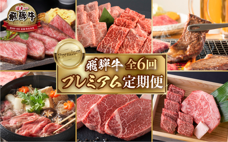《定期便6回》飛騨牛 特選 プレミアム定期便 [S489]