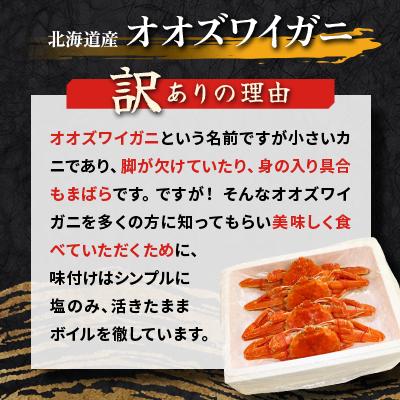 ふるさと納税 様似町 【訳あり】オオズワイガニ ボイル 大サイズ  6杯 合計約2.7kg |  | 01