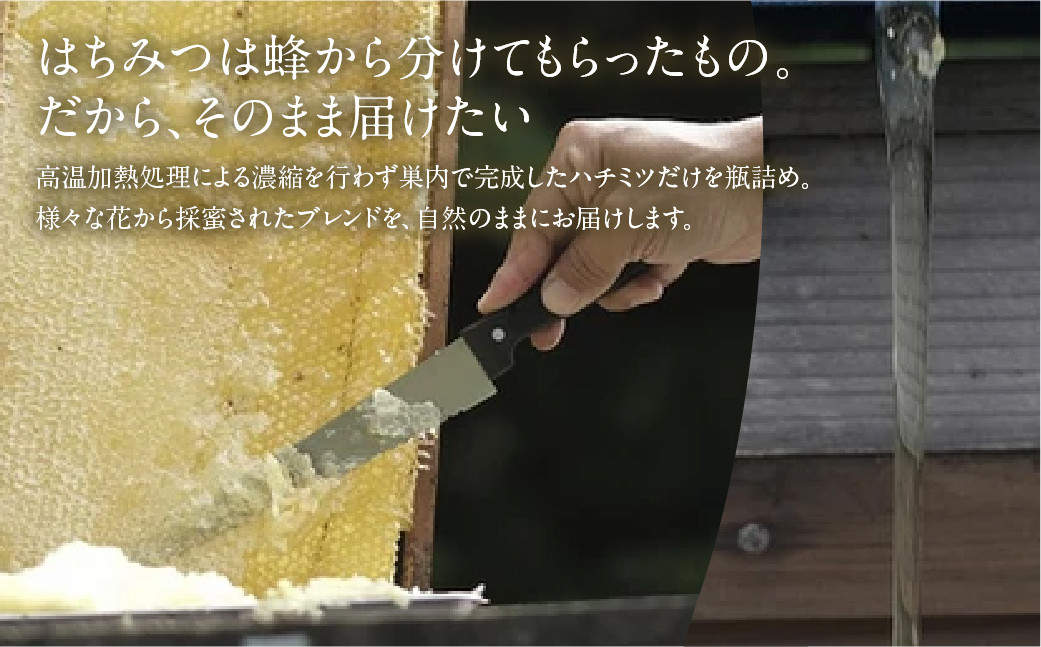 小さじ１杯に込められたミツバチの一生の物語を大切に集めています。