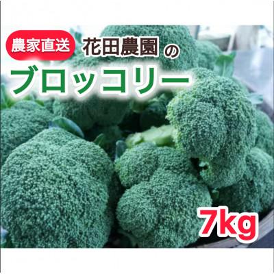 ふるさと納税 鞍手町 朝採れ　農家直送ブロッコリー　20個(約7kg)