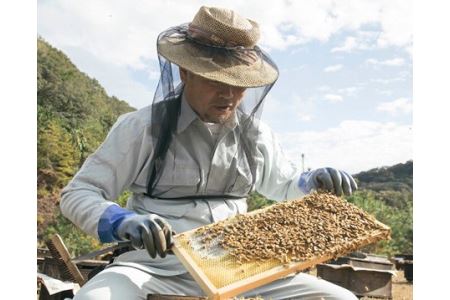 国産　はちみつ　百花蜜　420g　／希少　ハチミツ　蜂蜜　ハニー　養蜂　純はちみつ　三重県　南伊勢町