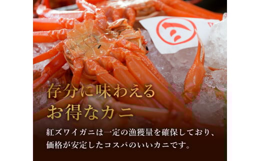 【蟹セレブ】 訳あり ズワイガニ（紅ズワイガニ）】1.8kg箱詰め（3から4杯） 冷蔵 カニ ボイル 紅ズワイガニ 新鮮 ズワイガニ ずわいがに 期間限定 国産 鳥取県 倉吉市