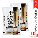 米 10kg 令和4年 白米 31-07新潟県産コシヒカリ10kg（5kg×2袋）