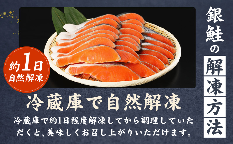 【訳あり】銀鮭 切り身 1kg(約9切れ)【規格外 甘塩 バラ凍結 海鮮 魚介 鮭 さけ しゃけ お弁当 朝食 おかず 簡単調理】 G5894