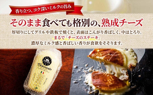 カチョカヴァッロ 500g×2｜ファットリアビオ北海道 カチョカヴァッロチーズ 北海道 札幌市