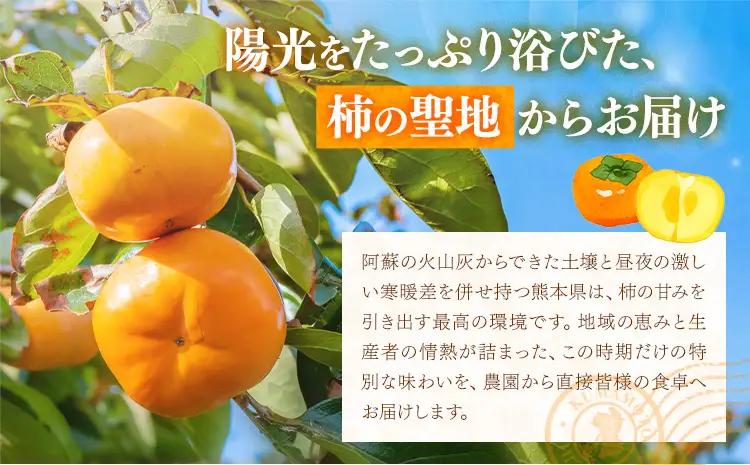 【先行予約】柿 太秋柿 たいしゅうがき 約2kg 日本フルーツ株式会社《2026年9月上旬-10月下旬頃出荷》熊本県 菊池市  秋の味覚 果物 くだもの フルーツ デザート