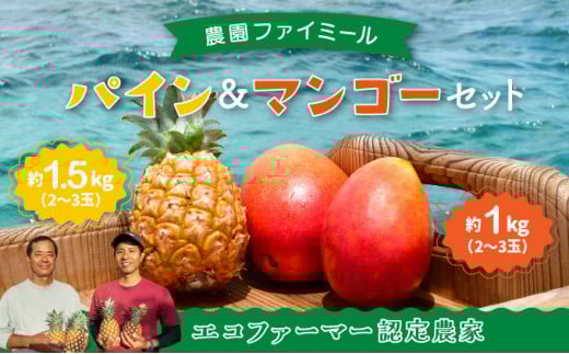 2026年 先行予約 セット パイン 約1.5kg マンゴー 約1kg 農園ファイミール 果物 フルーツ 031-a003_2026
