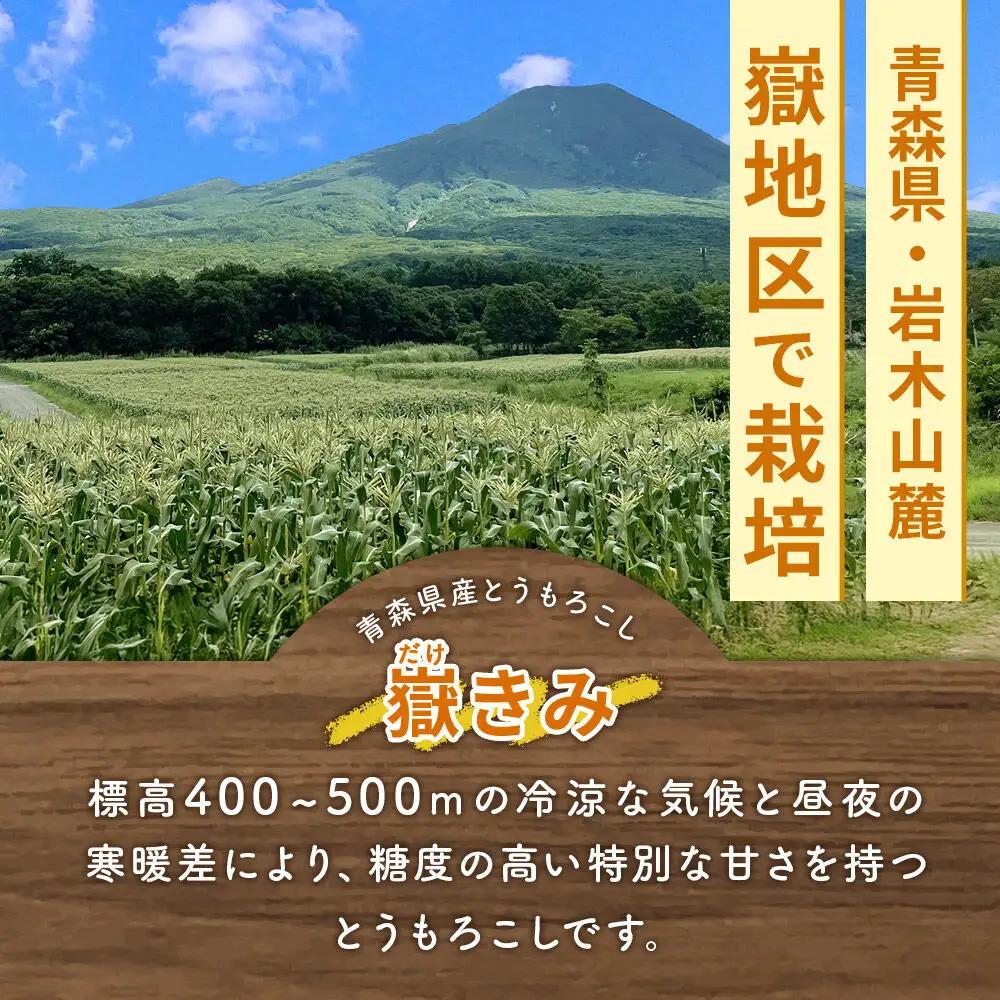 【26年8月下旬～クール便発送】とうもろこし 嶽きみ【先行受付】L～2Lサイズ 20本 しらかみラボ