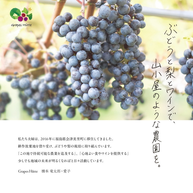 【先行受付】《訳あり》会津の美味しい梨 幸水 約6kg(10玉~12玉)◇| 期間限定 家庭用 梨 なし ナシ 果物 フルーツ 甘い ジューシー 果実 くだもの 国産 果実 会津美里町産 ※2025年