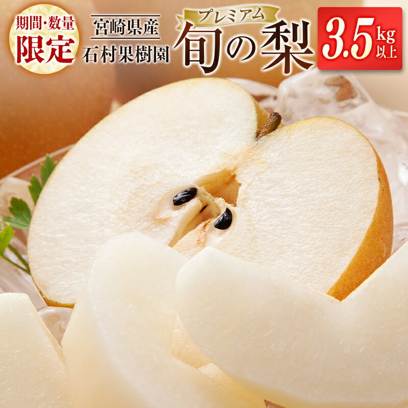 【ふるさと納税】＜期間・数量限定＞石村果樹園 旬の梨 プレミアム（3.5kg以上）宮崎県新富町産 くだもの デザート