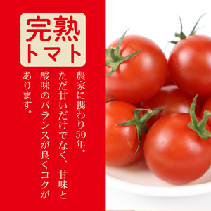 ミニトマト 5kg (1kg×5回) 訳あり 定期便 【ミニトマト】 山本農園