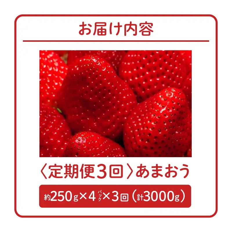【2027年1月以降お届け】あまおう 約250g 4パック×3回 計12パック【定期便 3回】_ いちご 果物 フルーツ〔Fi301〕