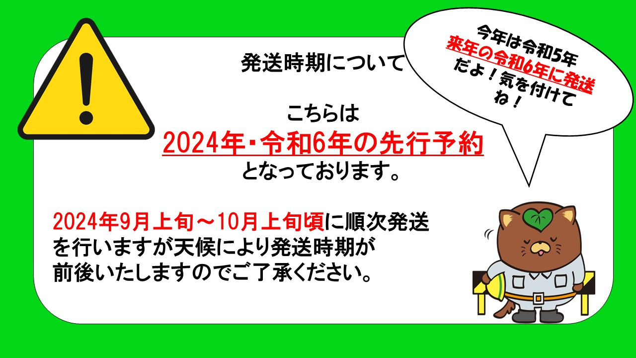 
【✩先行予約✩2024年/令和6年発送分】シャインマスカット&極大粒クイーンニーナ 詰め合わせ 1.8kg相当 [山梨 シャインマスカット 詰め合わせ]
