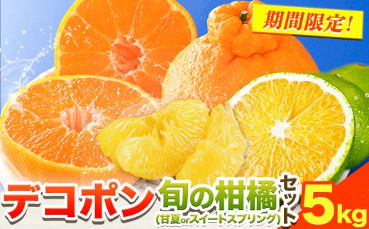 デコポン 3kg 旬の柑橘 2kg  詰め合わせ セット 合計 5kg 《2月中旬-4月上旬頃出荷》熊本県 津奈木町 デコポン でこぽん 甘夏 スイートスプリング みかん 柑橘 期間限定