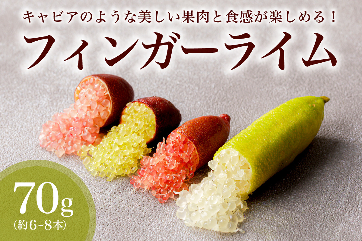 
                  フィンガーライム　70g【 果物 果実 新時代フルーツ 国産 キャビアライム 森のキャビア フルーツキャビア ブッシュキャビア 希少 柑橘 カルパッチョ ローストビーフ アイス カクテル 炭酸 トッピング 】
                