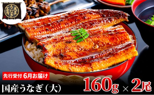 
                  [№5695-1865]先行受付 【6月上旬配送】 うなぎ蒲焼 160g×2尾(320g) うなぎ 鰻 蒲焼 蒲焼き 大五通商 静岡 島田市
                