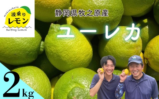 【国産 レモン】牧之原産 波乗りレモン ユーレカ 2kg  国産 Lemon 檸檬  柑橘類 柑橘 フルーツ  柑橘類 柑橘 フルーツ 果物 酸っぱい 果肉 酸味 防腐剤不使用 自宅用 贈答品 レモンスカッシュ レモンパウンドケーキ レモンサワー くだもの 家庭用 静岡県産 農家直送 産地直送 産直  みどり きいろ グリーンレモン イエローレモン おすすめ 美味しい  静岡県 牧之原市