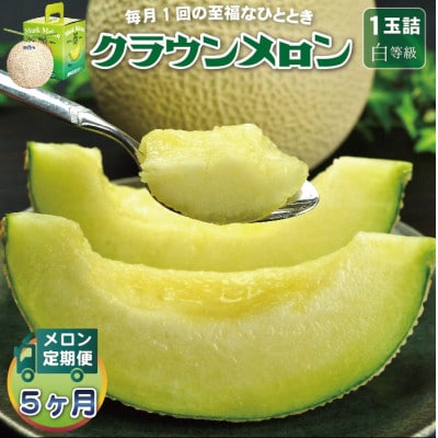 【毎月定期便】クラウンメロン (白等級) 1玉 静岡県産 高級 マスクメロン 【1年中お届け】全5回【配送不可地域：離島・北海道・沖縄県】