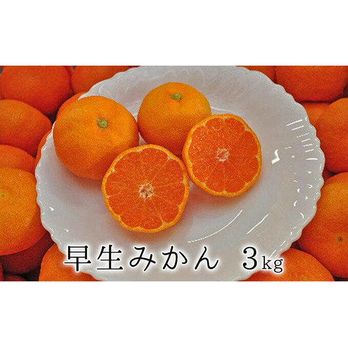 【ふるさと納税】【2026年11月中旬より順次発送】秋の味覚　果汁たっぷり　早生みかん3kg★★◆ | 果物類・柑橘類・みかん・フルーツ・ミカン・蜜柑