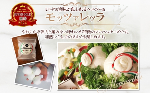 モッツァレラ 100g×2｜チーズ モッツァレラチーズ 北海道 札幌市