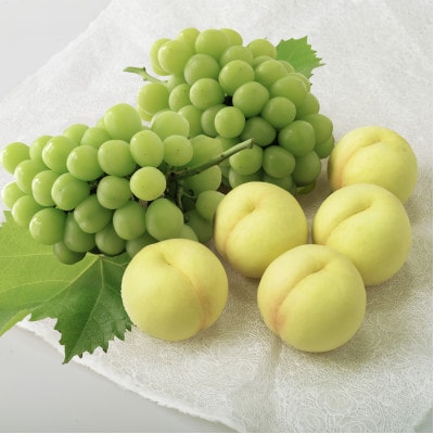 【2026年7月中旬より発送】岡山県産　岡山白桃5玉とシャインマスカット2房　※数量限定・先行受付【配送不可地域：離島・北海道・沖縄県】【1364890】