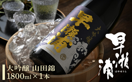 早瀬浦 大吟醸 山田錦 1800ml × 1本 【入手困難 日本酒 就職祝い 転職祝い ハレの日 ギフト プレゼント お祝い お返し お礼 お中元 お歳暮 父の日 敬老の日 】[m06-d003]