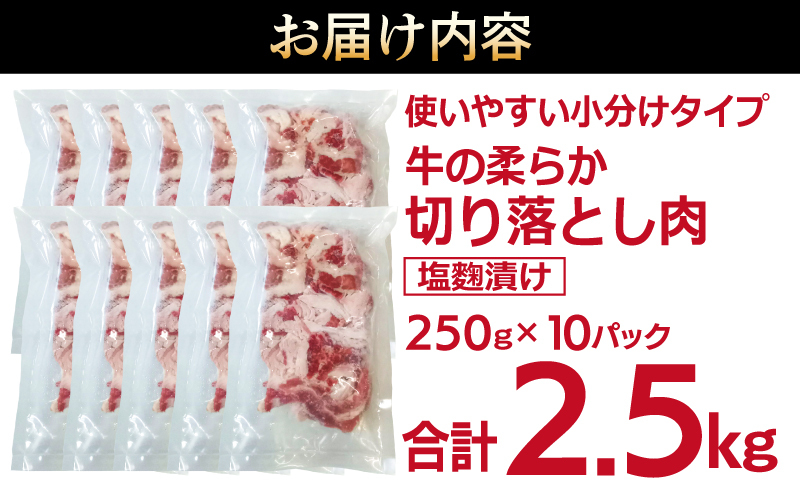 牛肉 切り落とし 塩麹漬け 合計2.5kg【味付け 小分け 焼くだけ 簡単調理 BBQ 牛肉 250g×10袋】 099H3387_イメージ4