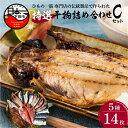 【ふるさと納税】 干物 金目鯛 あじ さんま 味醂干 さば かます 詰め合わせ ギフト 極上 国産 無添加 魚 魚介類 おかず おつまみ 5種 14枚 静岡 伊豆 下田市 干物専門店 【小木曽商店】 Cセット 送料無料