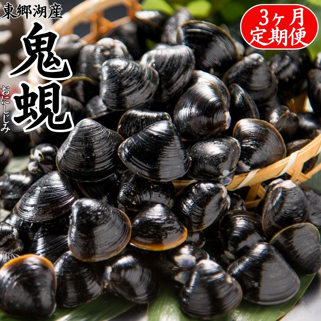 【ふるさと納税】東郷湖産鬼蜆〔3ヶ月定期便〕
