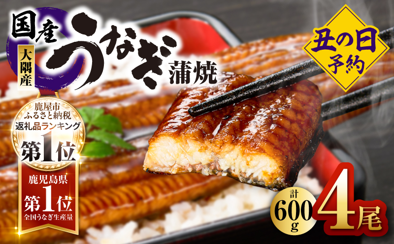 【先行予約】鹿児島県大隅産うなぎ蒲焼4尾（600g）　KN007-004-01