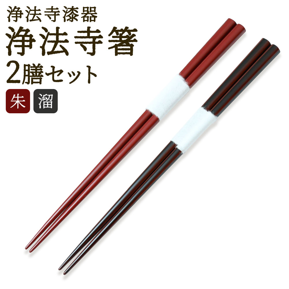 【ふるさと納税】【滴生舎】浄法寺漆器 浄法寺箸 2膳セット 2本 朱 溜 長さ23cm お箸 食器 国産漆 二戸市 送料無料