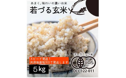 
                  【有機JAS】多可町産 きぬむすめ 玄米 ５kg 農園若づる 有機栽培 オーガニック アイガモ 合鴨農法 無農薬 無化学肥料 即納 [1387]
                