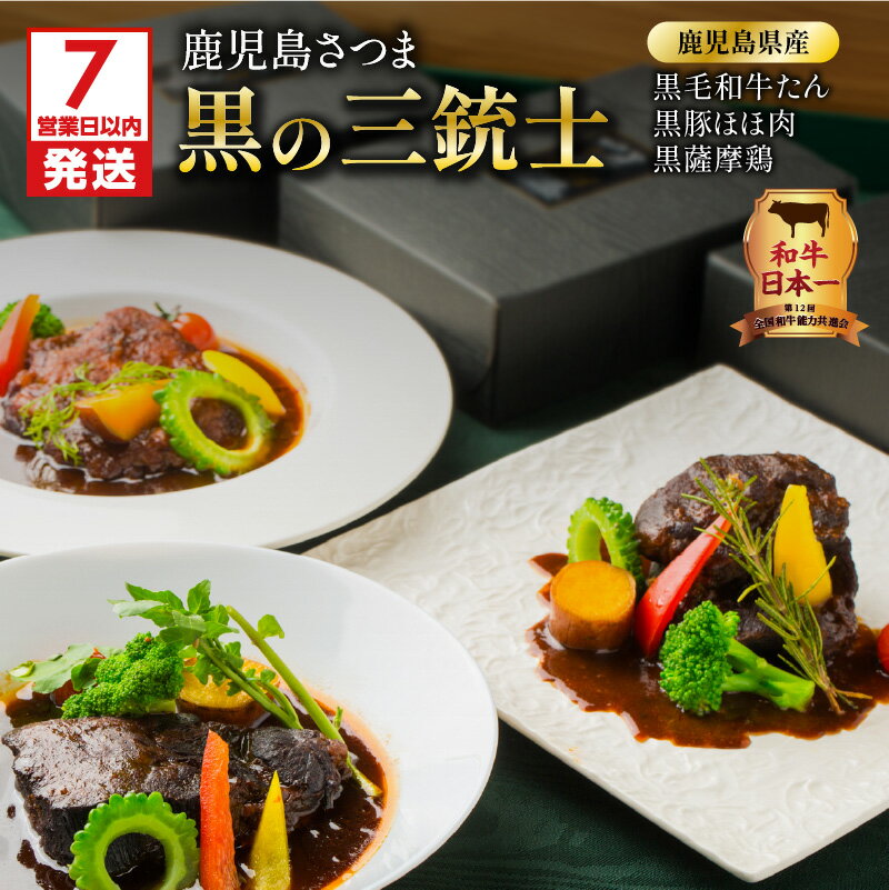 【ふるさと納税】和牛日本一 ！ 鹿児島 さつま 黒の三銃士 レトルト シチュー 3種 詰合せ セット 送料無料 鹿児島市 九州 ブラウンシチュー 黒毛和牛 黒豚 黒 薩摩鶏 牛タン タン ホホ肉 牛肉 豚肉 鶏肉 デミグラスソース 洋食【洋食グリル 肝付】