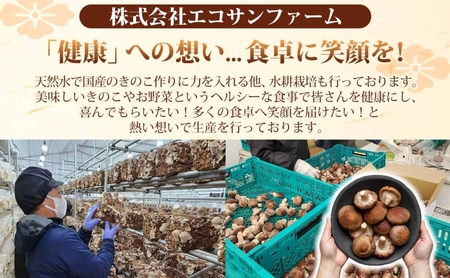 乾燥スライスしいたけ40gと乾燥きくらげ30g セット 干ししいたけ 干しきくらげ 乾物 食物繊維 国産 お取り寄せ グルメ こだわり 簡単調理 ビタミン きのこ ヘルシー 送料無料 埼玉県 蓮田市