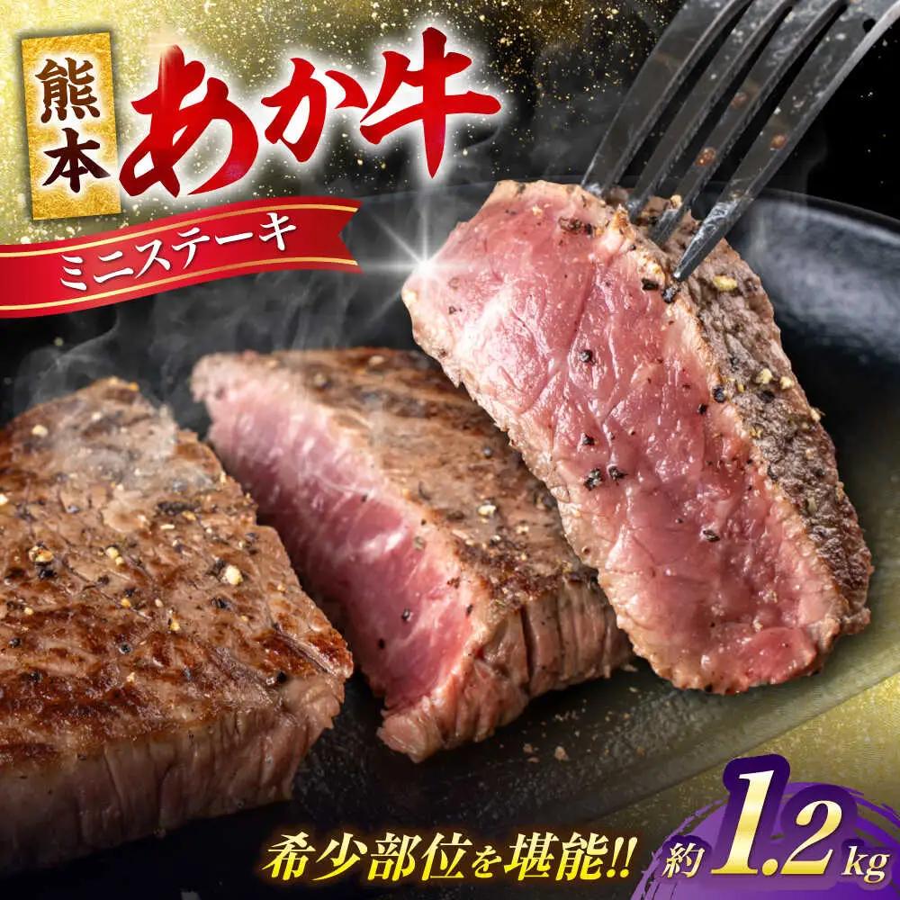 令和8年熊本地震復興支援 熊本あか牛 ミニステーキ約1.2kg（9?10枚）赤牛[AYCB064]